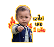 842622444
