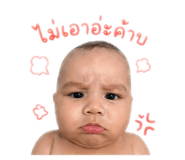 842623259