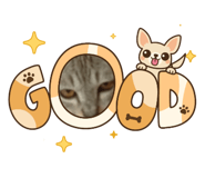 842623292