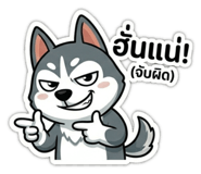 842623411