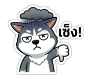842623420