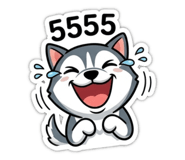 842623427