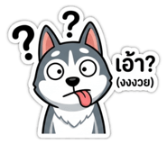 842623428