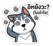 842623431