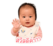 842623433