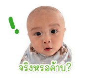 842623455