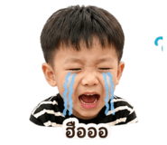 842623502