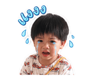 842623532