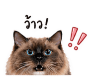 842623750