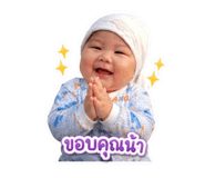 842623800