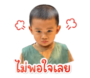 842623864