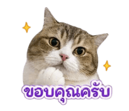 842624012