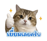 842624016