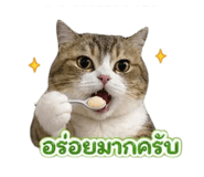 842624018