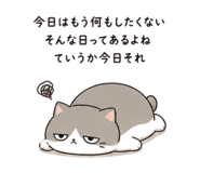 842626129