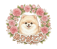 842626203