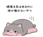 842626251