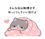 842626253