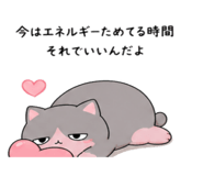 842626256