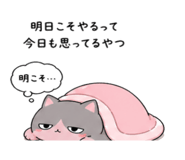 842626260
