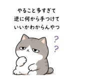 842626284