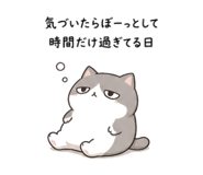 842626348