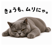 842626844