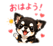 842627249