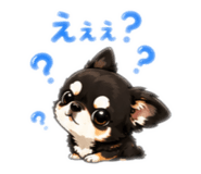 842627250
