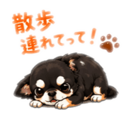 842627251