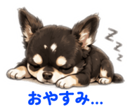 842627264