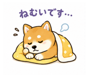 842627390