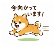 842627396