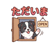 842627522