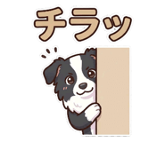842627544