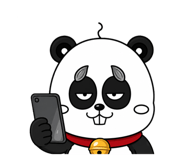 842627552