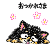 842627650