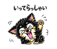 842627657