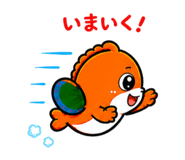 842627807