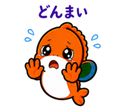 842627828
