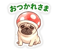 842627846