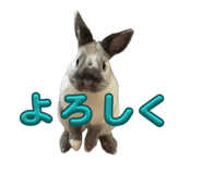 842627923