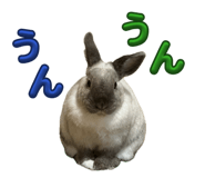 842627952