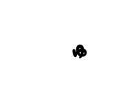 842627974