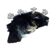 842628059