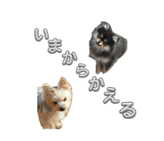 842628062