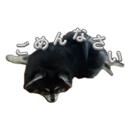 842628064