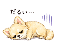 842628389