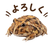 842628957