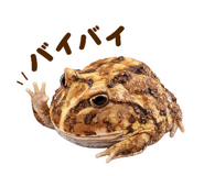 842628960